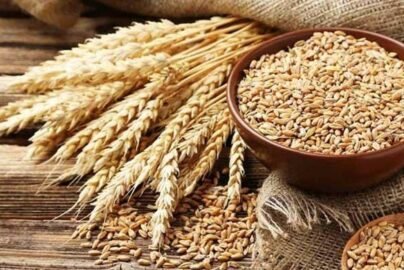 Wheat-support-price-in-pakistan