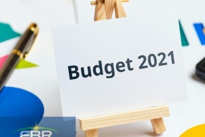 Budget 2021 National Assembly