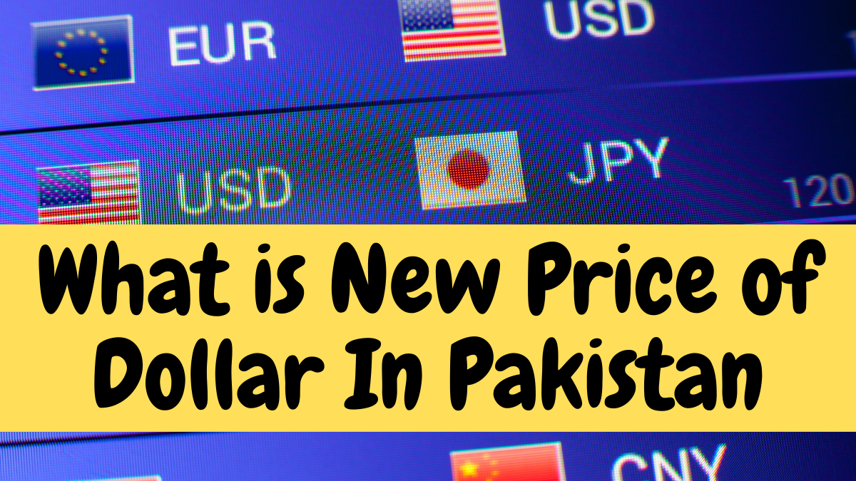 What Is New Price Of Dollar In Pakistan 2023