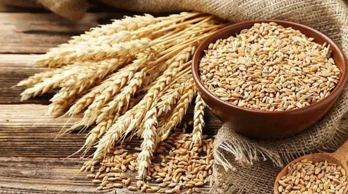 Wheat-support-price-in-pakistan
