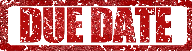 due-date-taxpayers-profile