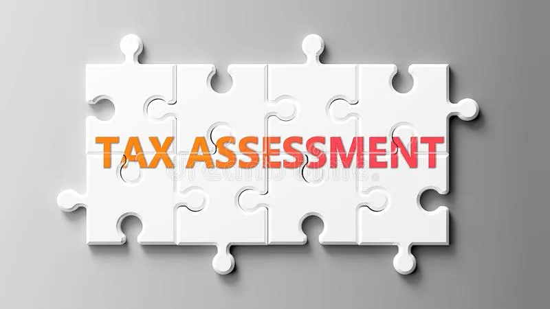 tax-assessment-fbr