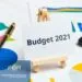 Budget 2021 National Assembly