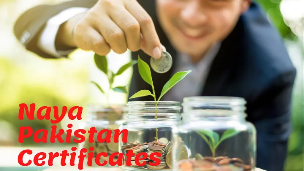 How To invest in Naya Pakistan Certificates