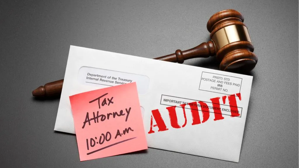 Tax Audit Cases for Tax year 2019