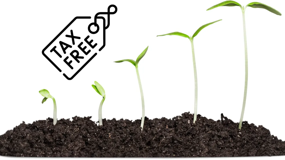 Sales Tax on Hybrid Seeds Needs Exemption and demanding from Government