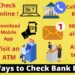 How to check bank balance online