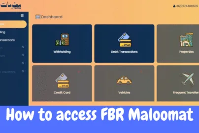 How to access FBR maloomat tax details new portal