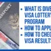 How to check Diversity Visa DV Lottery 2023 Results, what is DV Visa lottery program and how to apply for DV Visa.